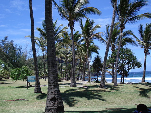 Grand Anse Réunion