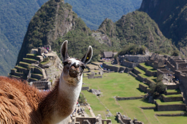 Peruánske Machu Picchu