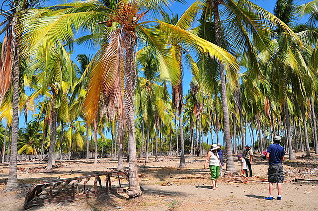 Isla Puná