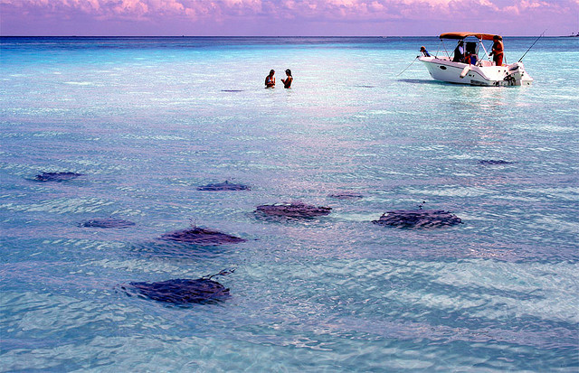 Kajmany Grand Cayman