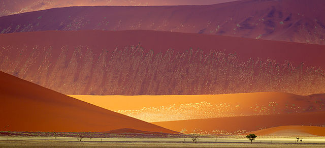 Namib-Naukluft National Park