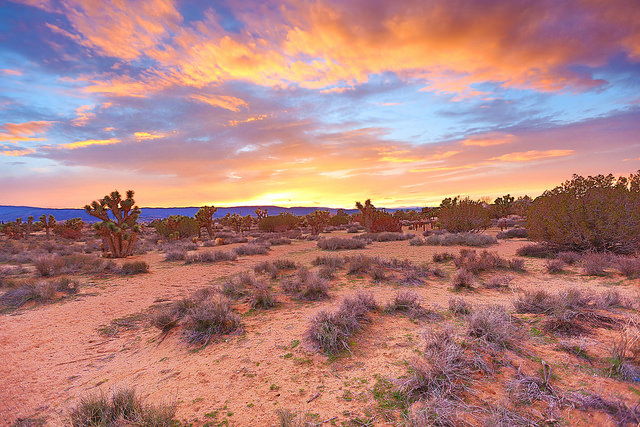 Antilope Valley