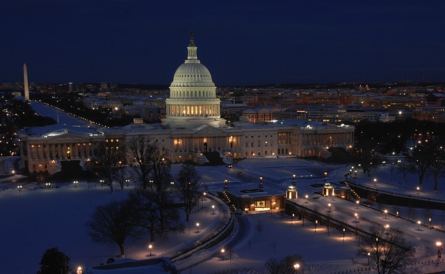 Washington D.C. Capitol