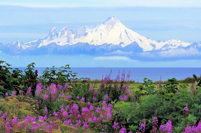 Cook Inlet