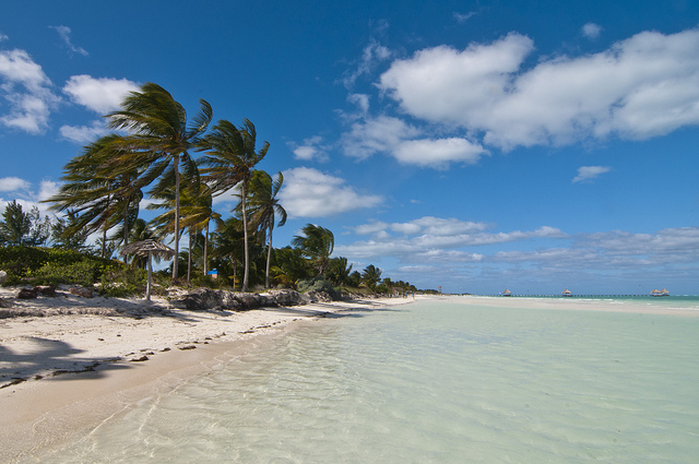 Cayo Guillermo