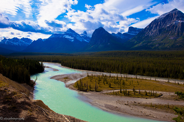 Jasper N.P.