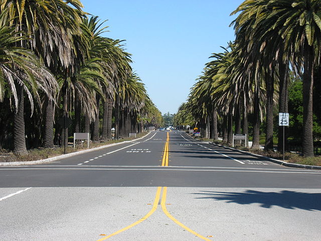 Palm Drive