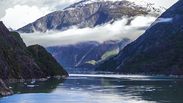 Tracy Arm