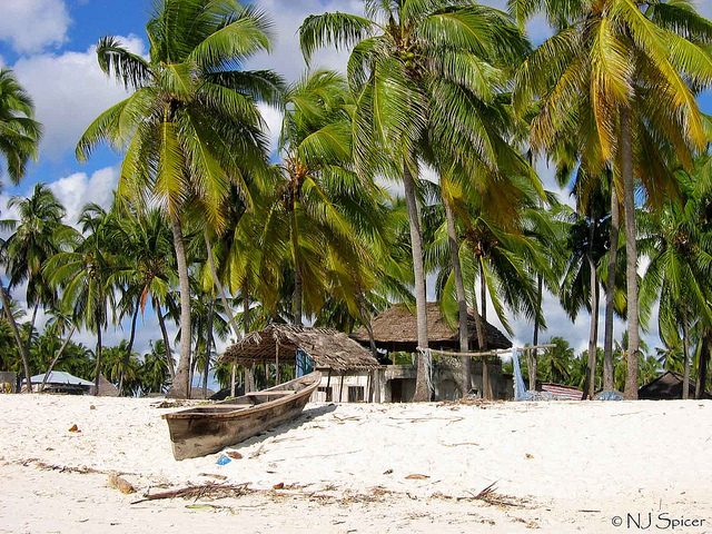 Zanzibar Beach