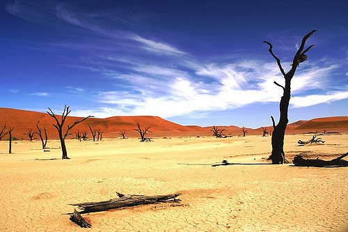 Namib-Naukluft National Park