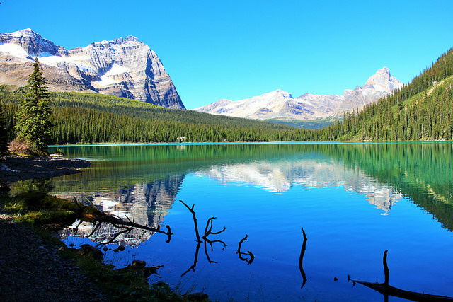 Yoho National Park