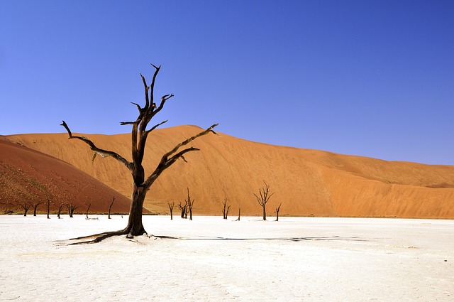 Namib-Naukluft National Park