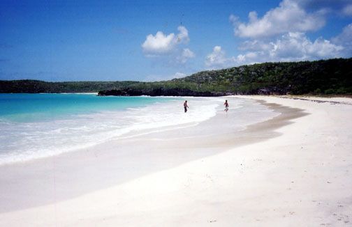 Vieques