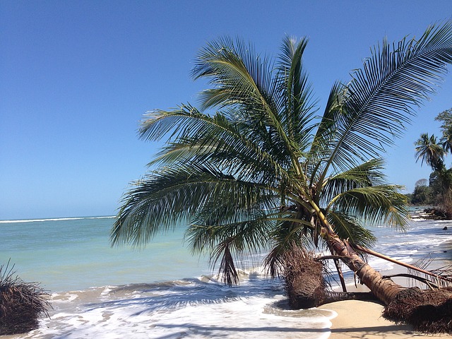 Cahuita National Park