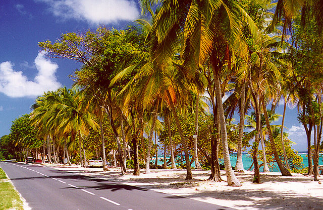 Guadeloupe Plage de Capesterre
