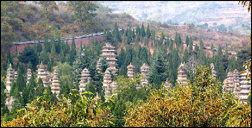 Pagoda Forest