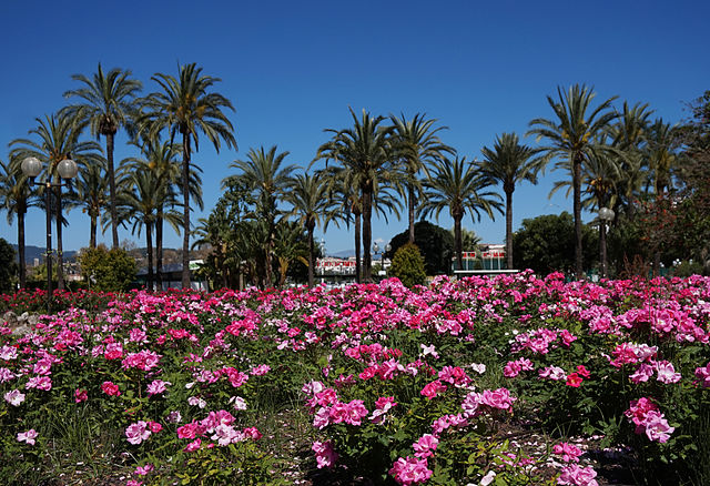 La Croisette