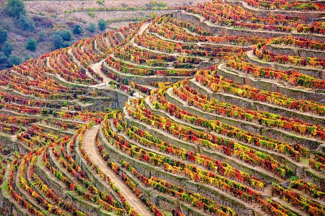 Douro