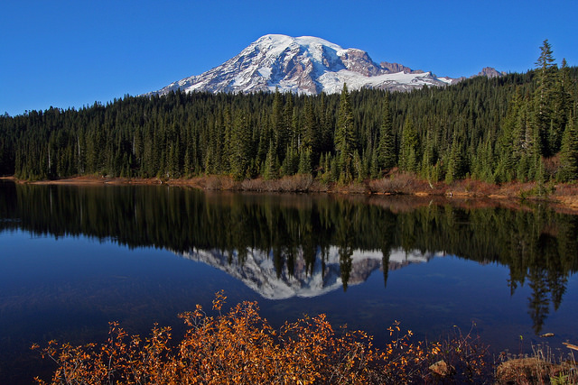 Mount Rainier National Park