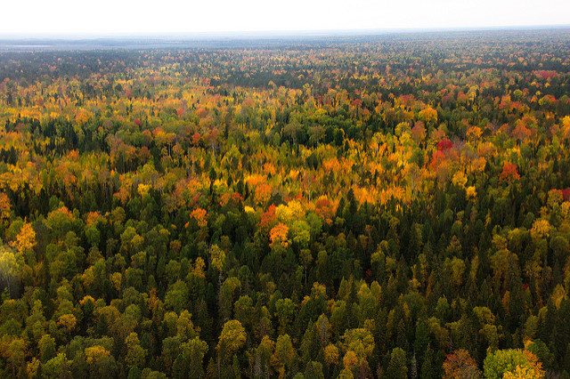 Juganskyj zapovednik