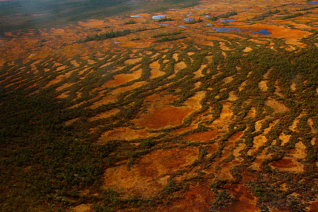 Yugansky Nature Reserve