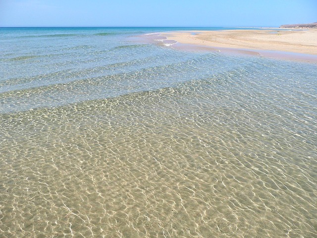 Fuerteventura Canary Islands