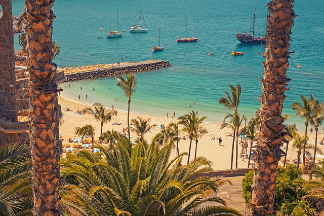 Canary Islands