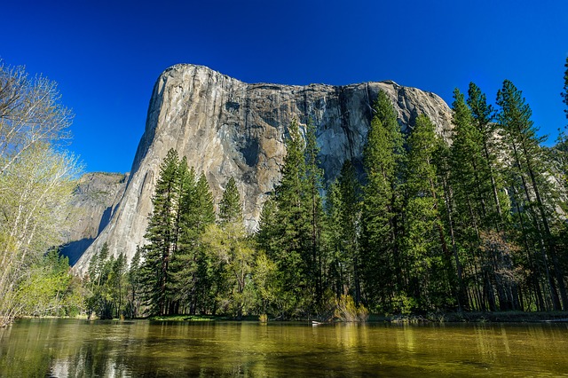 Yosemite National PArk