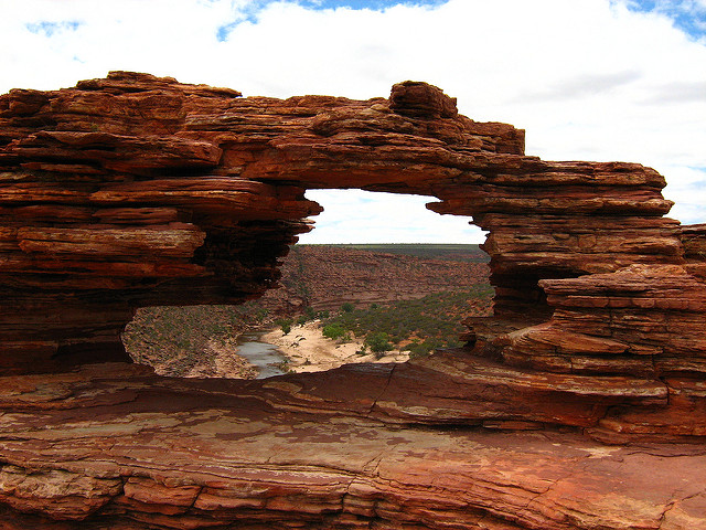 Nature's Window