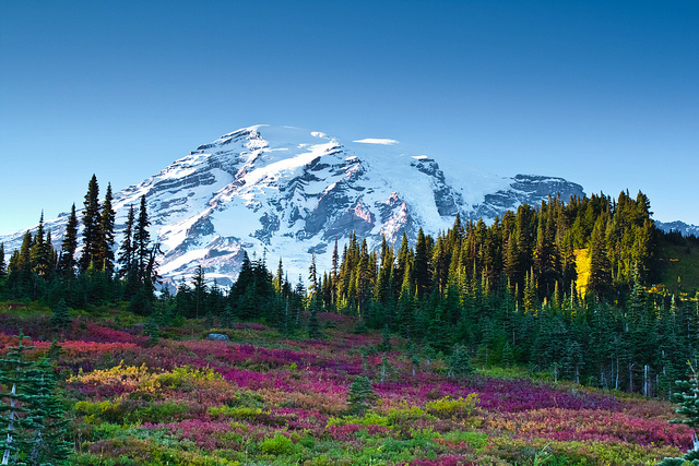 Mount Rainier 