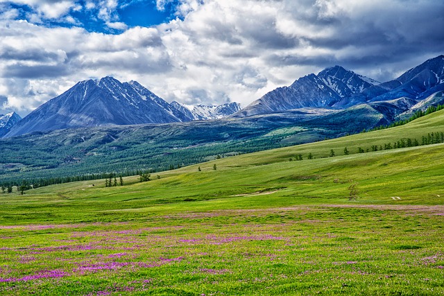 Altai