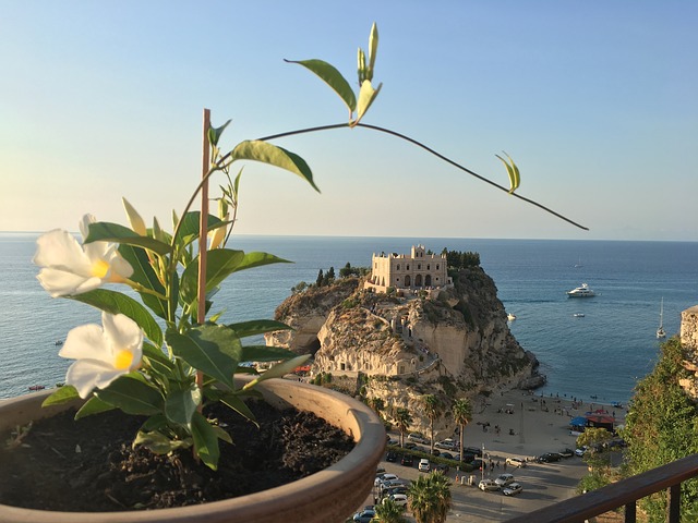 Tropea