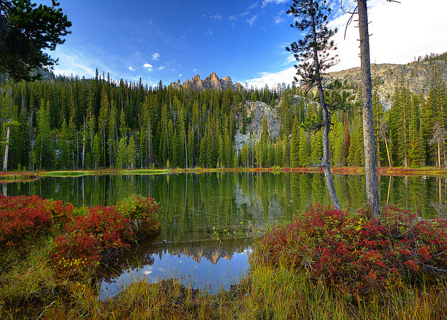 Sawtooth National Forest