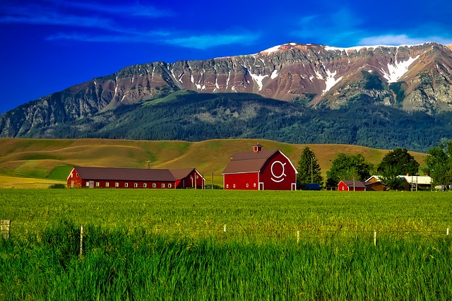 Chief Joseph Mountain