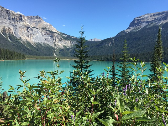 Yoho National Park