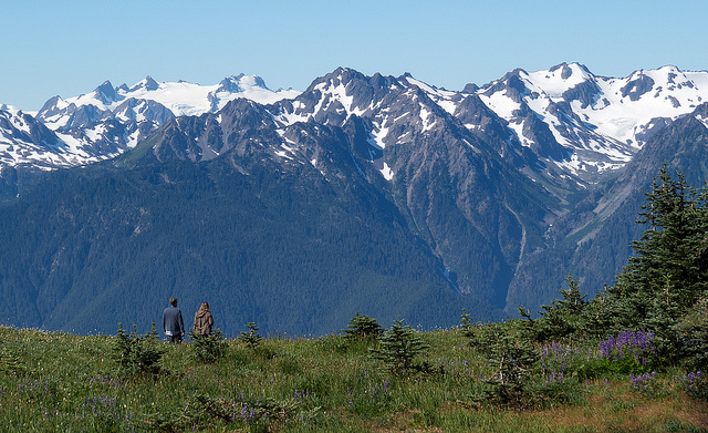 Olympic National Park