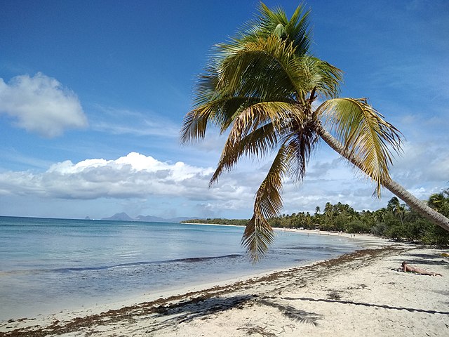 Martinique