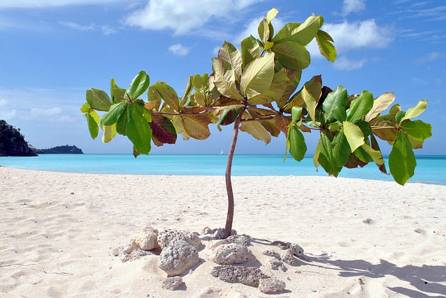 Antigua Beach