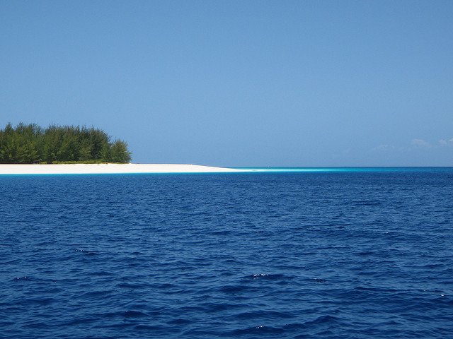 Zanzibar Mnemba Island