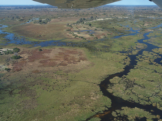 Okavango Delta