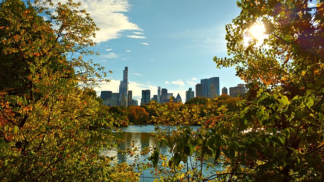 New York Central Park