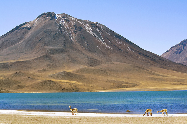 Miscanti Lagoon