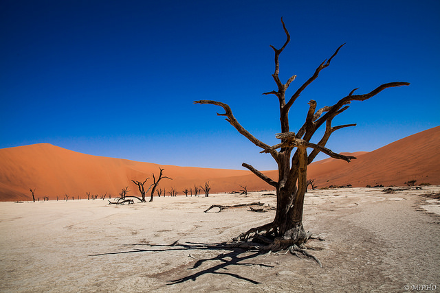 Deadvlei