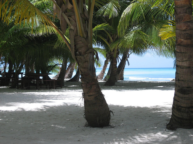 Dominikánska republika Dominican Republic