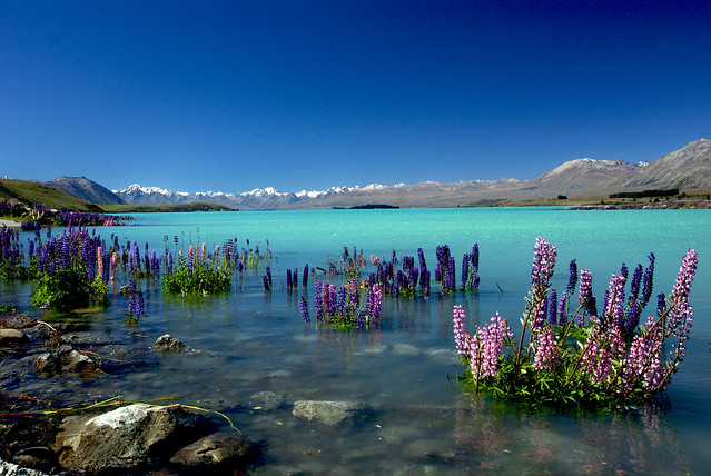 Lake Tekapo