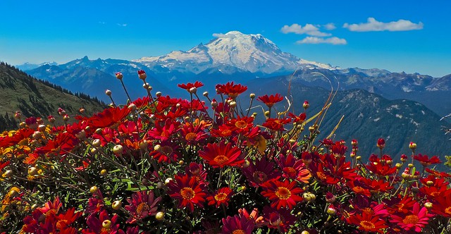 Mount Rainier National Park