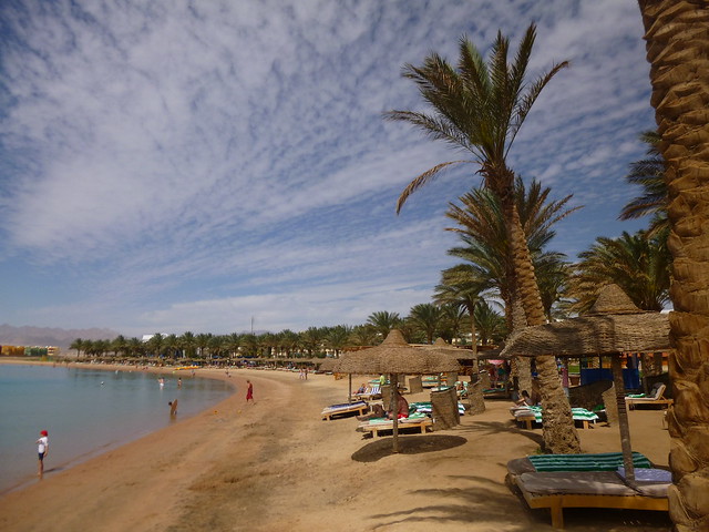 Egypt Soma Bay