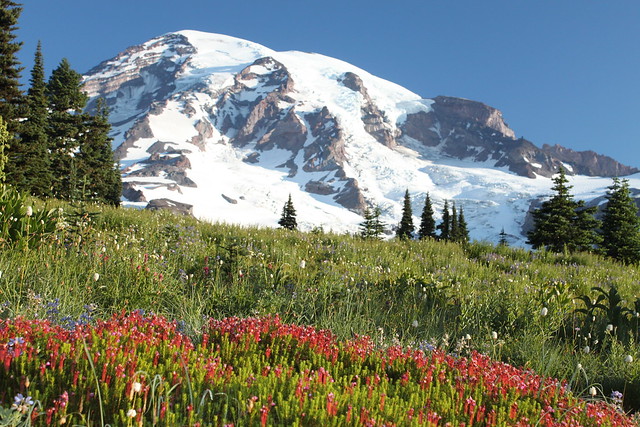 Mt. Rainier National Park