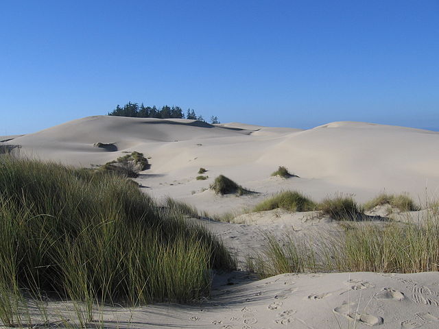 Oregon Dunes