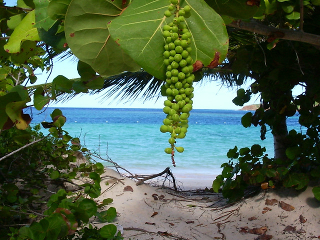 Culebra